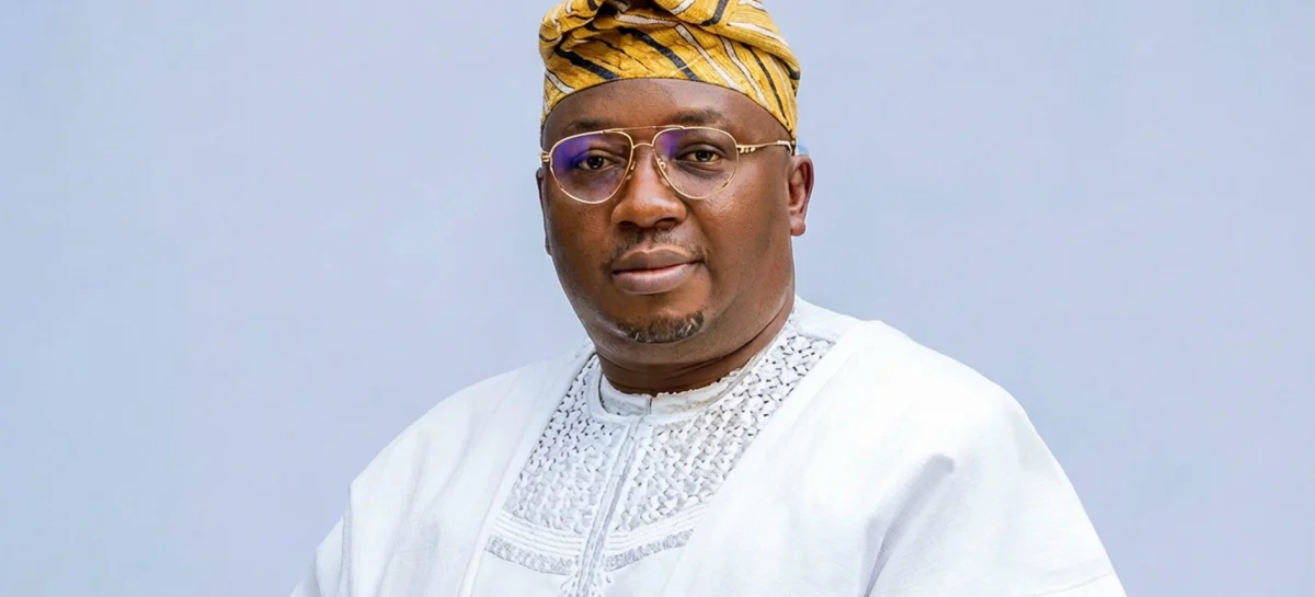 Power Minister Resigns to Pursue Oyo Governorship Bid