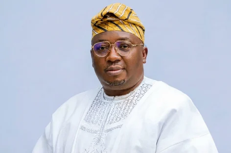 Power Minister Resigns to Pursue Oyo Governorship Bid